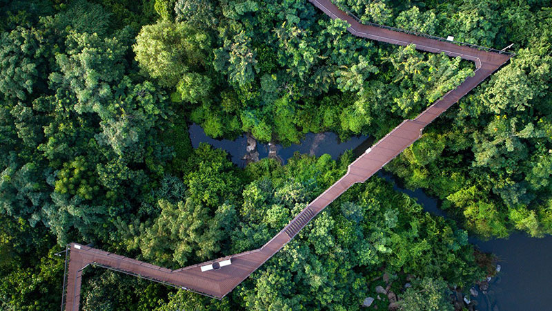 cong-vien-rung-globe-ha-long